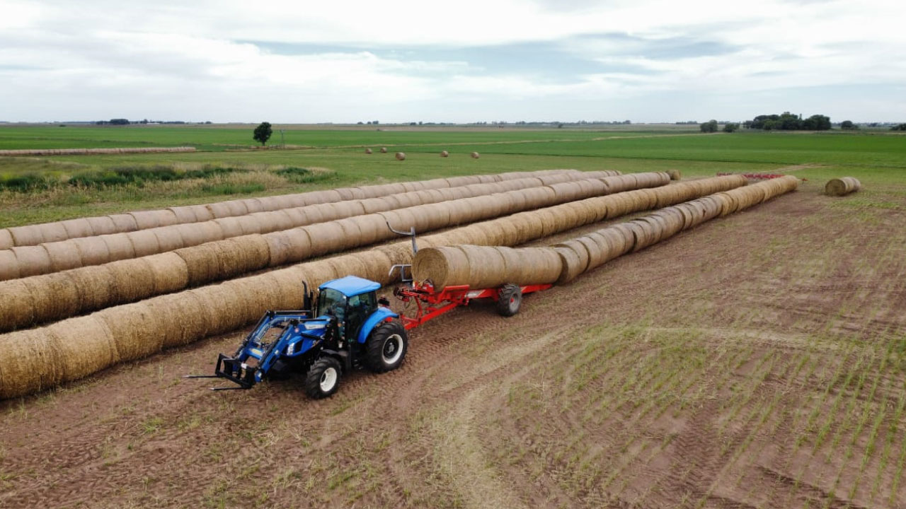 Servicio Rollos de Alfalfa