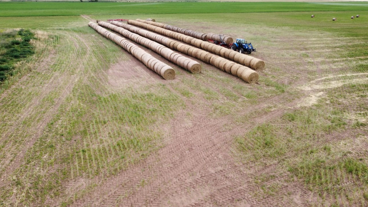 Servicio Rollos de Alfalfa